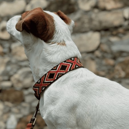 Collar para perro Piel Luna Rojo