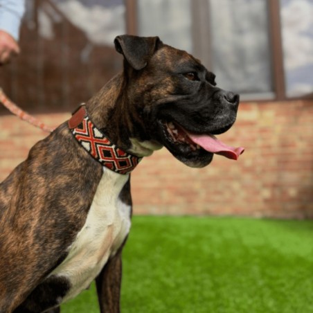 Collar para perro Piel Luna Rojo