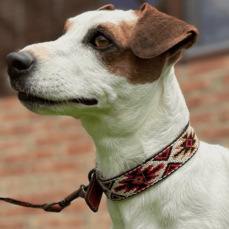 Collar para perro Piel Estrella Rojo
