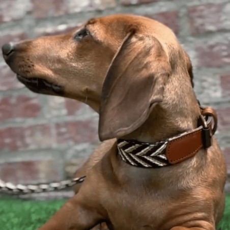 Collar para perro Piel Espiga Marrón Personalizado