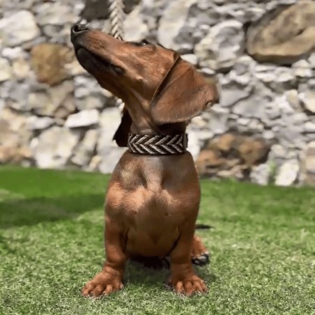 Collar para perro Piel Espiga Marrón Personalizado