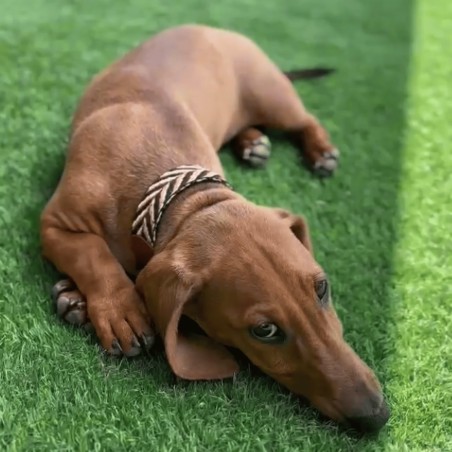 Collar Piel Funda Antiparasitaria Espiga Marrón