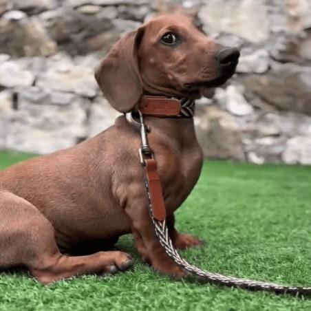 Correa Multiposición Piel Espiga Marrón para perros