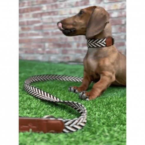 Collar para perro Piel Espiga Marrón...