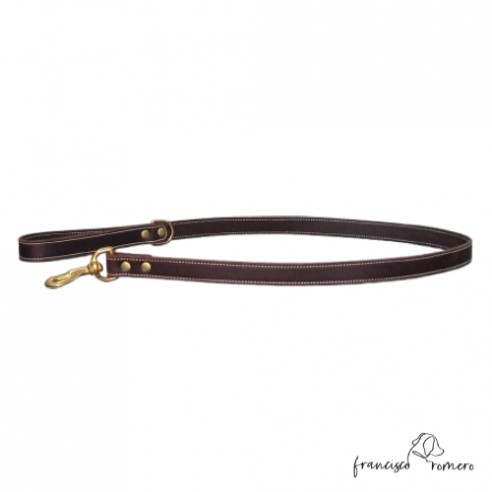 Correa de Paseo para perros Piel Latón