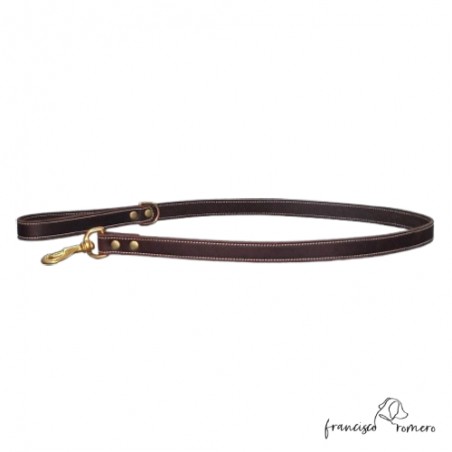 Correa de Paseo para perros Piel Latón