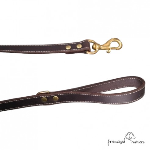 Correa de Paseo para perros Piel Latón