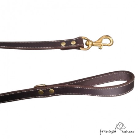 Correa de Paseo para perros Piel Latón