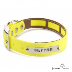 Collar Biothane Beta Funda...