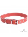 Collar de piel de vaquetilla rojo personalizado para perro
