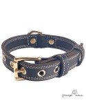 Collar Premium de alta resistencia en piel y Biothane para perro