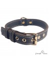 Collar Premium de alta resistencia en piel y Biothane para perro