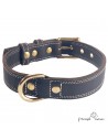 Collar Premium de alta resistencia en piel y Biothane para perro