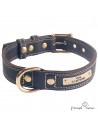 Collar Premium de alta resistencia en piel y Biothane para perro