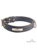 Collar Premium de alta resistencia en piel y Biothane para perro
