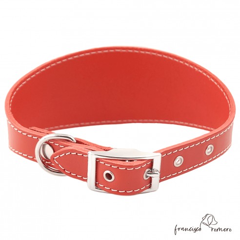 Collar para Galgo sin Forro Interior