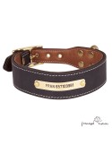 Collar de piel engrasada con quitavueltas personalizado para perro