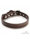 Collar Biothane Beta ancho cinta 2,5 cm con costura chocolate 1