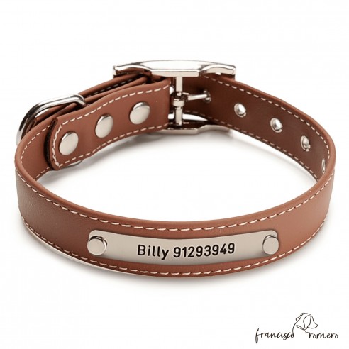 Collar Biothane Beta ancho cinta 2,5 cm con costura Personalizado marrón 1