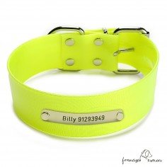 Collar Biothane Gold ancho cinta 5 cm Personalizado amarillo 1