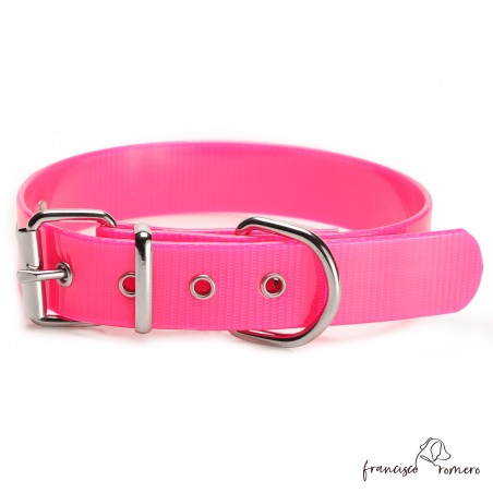 Collar Biothane Gold ancho cinta 2,5 cm hebilla rulo