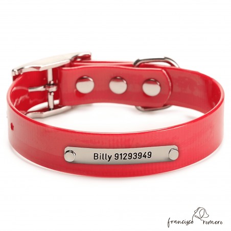 Collar Biothane Gold ancho cinta 2,5 cm hebilla alemana Personalizado