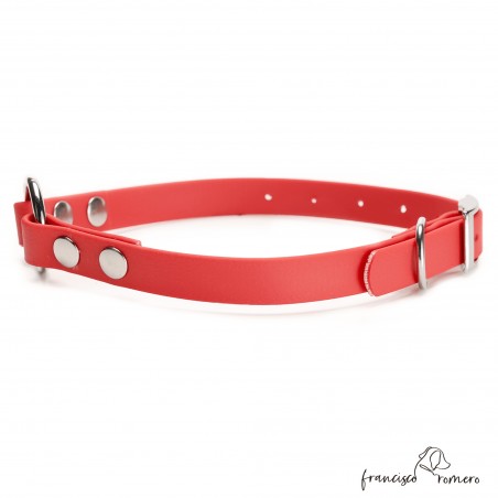 Collar Biothane Beta con Anilla Central