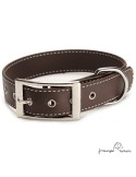 Collar Biothane Beta ancho cinta 2,5 cm con costura para perro