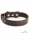 Collar Biothane Beta ancho cinta 2,5 cm con costura para perro