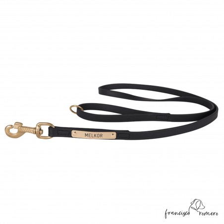 Correa paseo con anilla en asa biothane súper duro Personalizada perro