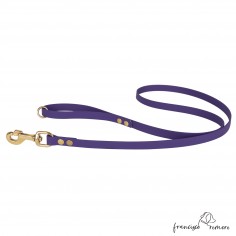 Correa de Paseo Biothane...