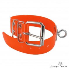 Collar para perro Biothane...