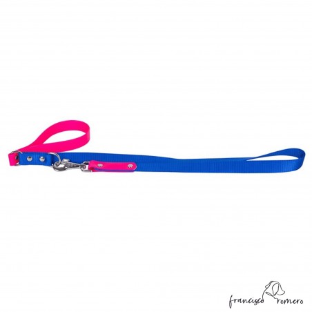 Correa paseo perro Faxion Nylon