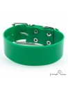 Collar Biothane Gold ancho cinta 3,8 cm verde 1