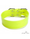 Collar Biothane Gold ancho cinta 5 cm amarillo 1