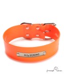 Collar Biothane Gold ancho cinta 5 cm Personalizado naranja 1