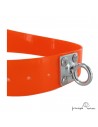 Collar para perro Biothane 3,8 cm quita vueltas Naranja