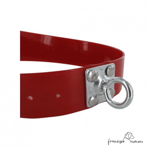 Collar para perro Biothane 3,8 cm...