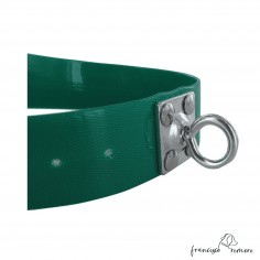 Collar para perro Biothane... 2