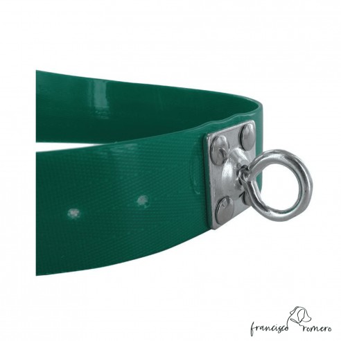 Collar para perro Biothane 3,8 cm...