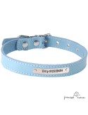 Collar de piel de vaquetilla Celeste Personalizado para perro