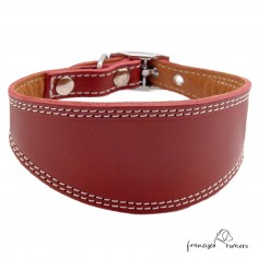 Collar para Galgo Liso...