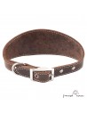 Collar para Galgo sin Forro Interior Marrón