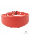 Collar para Galgo sin Forro Interior Rojo