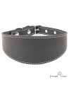 Collar para Galgo sin Forro Interior Negro
