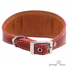 Collar para Galgo... 2