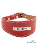 Collar para Galgo personalizado Plata Rojo