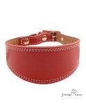 Collar para Galgo Liso Oro Rojo