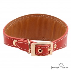 Collar para Galgo Liso Oro... 2