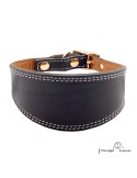 Collar para Galgo Liso Oro Negro